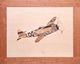 marquetry picture -P-39 Aircraft